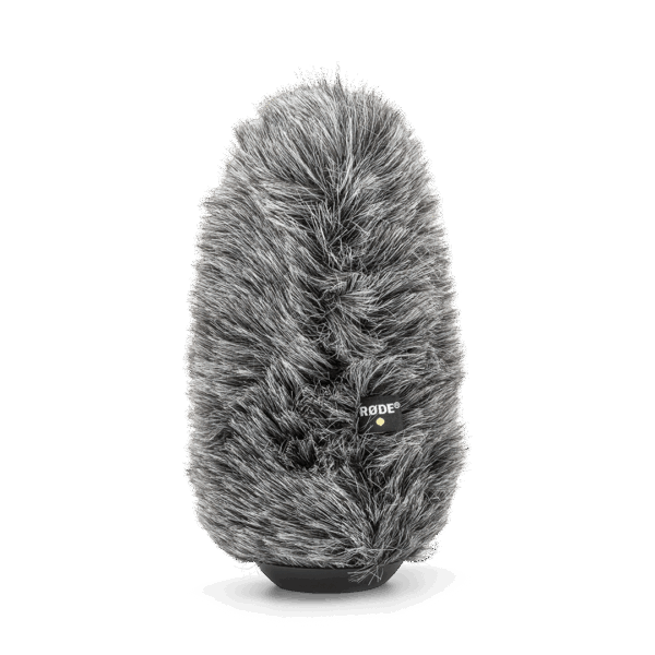 import placeholder for 1538